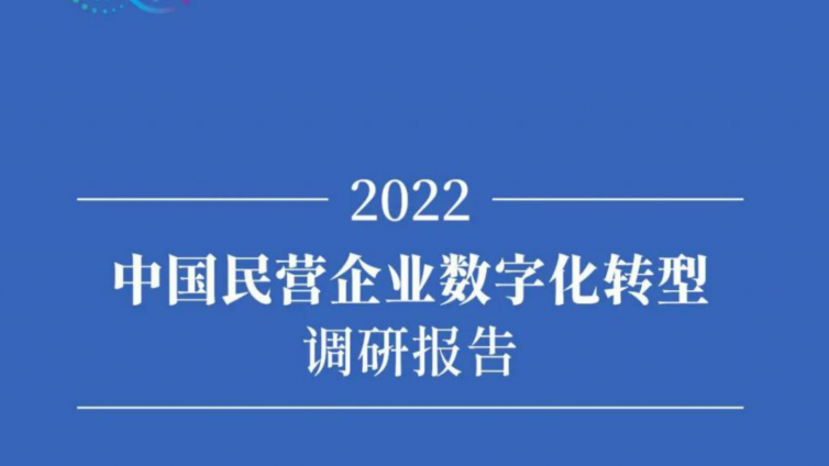 中国民营企业数字化转型调研（2022）